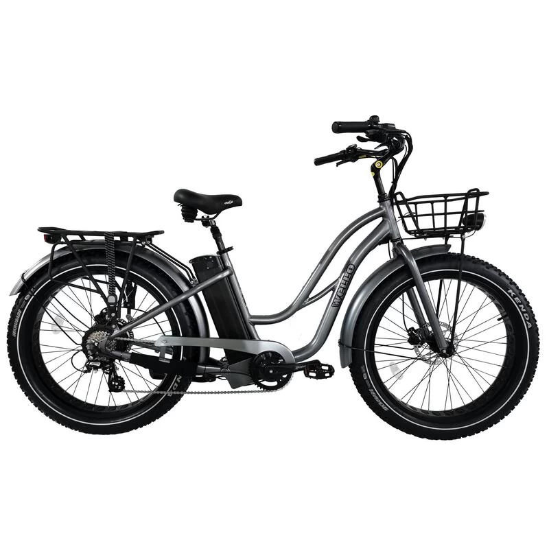 Vélo électrique Fat Bike Mixte/ Femme 26", 250W, Batterie 20Ah 720Wh